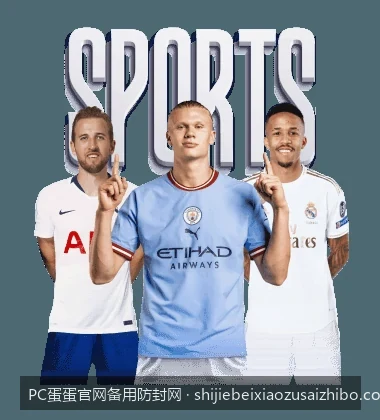 PC蛋蛋防封助手与手机版APP安全下载及安装指南