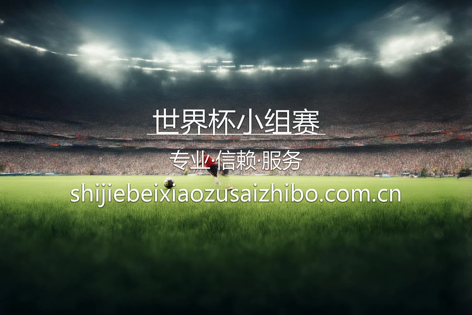 世界杯小组赛赛事直播与数据分析